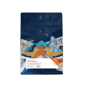 Costarica Hacienda (IDMI)