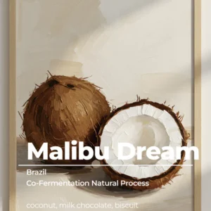 Malibu Dream- Coconut (ABSOLUTE)