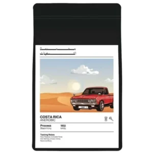 Costa Rica Anerobic (90 Roastery)