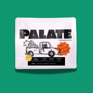 El Salvador Tecapa Chinameca Red Bourbon Natural (PALATE)