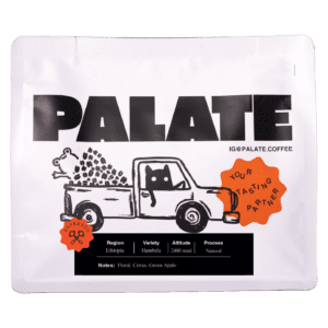 Ethiopia Hambela (PALATE)