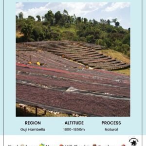 Ethiopian Faisal (3GUYS)