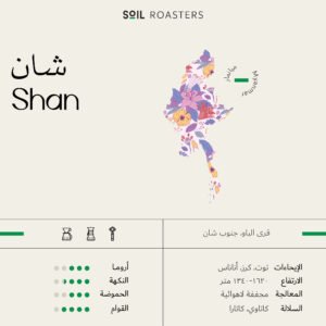 Myanmar Shan (SOIL ROASTERS)