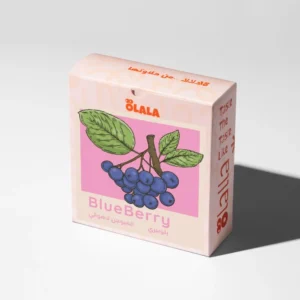 Blueberry (OLALA COFFEE ROASTERY)