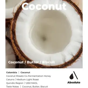 Coconut (ABSOLUTE)