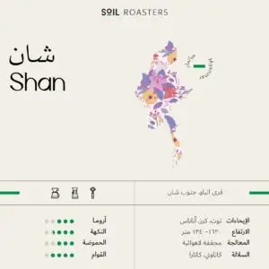 Myanmar Shan (SOIL ROASTERS)