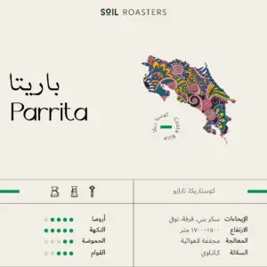 Parrita Costa Rica (SOIL ROASTERS)