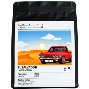 EL SALVADOR 90's ROASTERY 250g